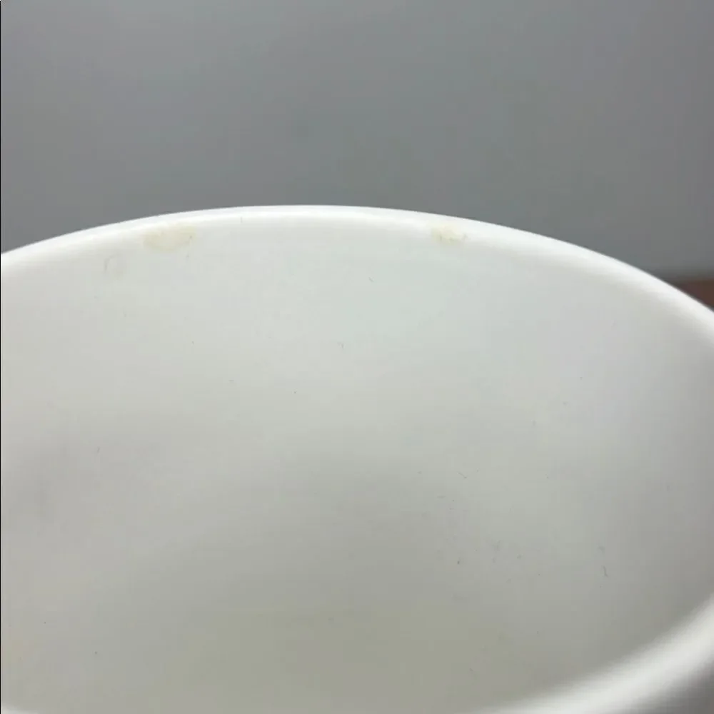 Starbucks White and Teal Mug